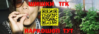 индика Кулебаки