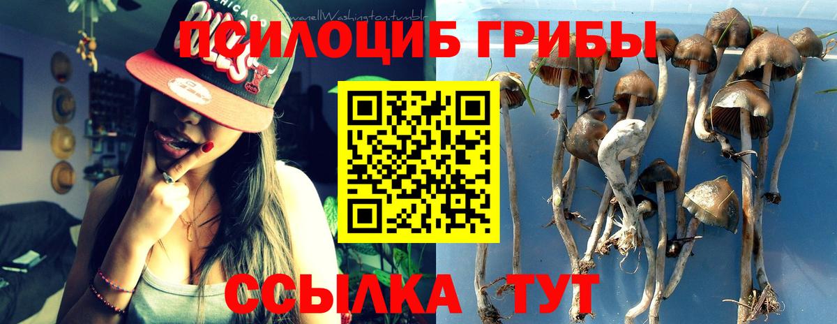 Псилоцибиновые грибы Magic Shrooms  Псилоцибиновые грибы Cubensis  Карталы 