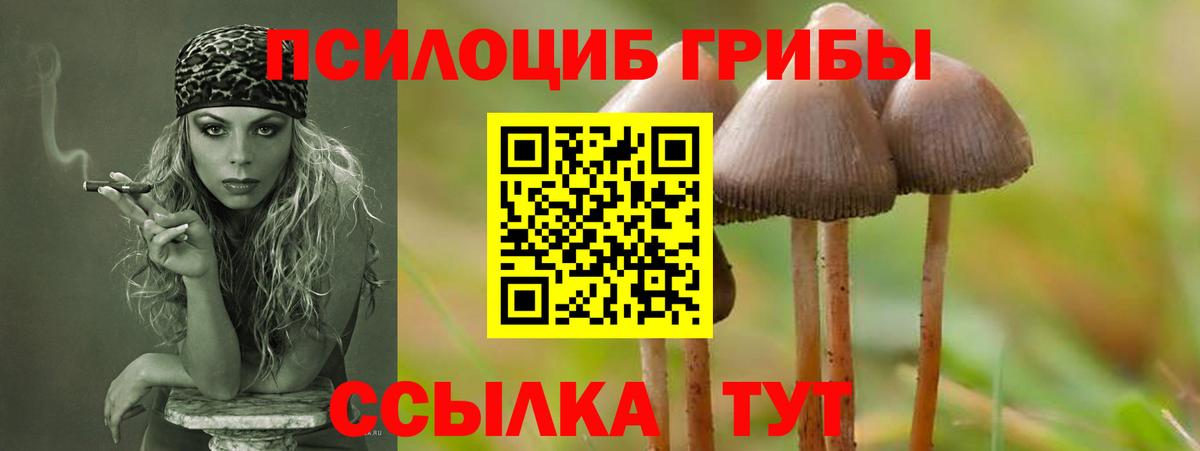 магазин продажи наркотиков  Псилоцибиновые грибы прущие грибы  Псилоцибиновые грибы GOLDEN TEACHER  Вход с VPN  Карталы 